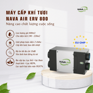NAVA AIR ERV 800 – Giải pháp cấp khí tươi công suất lớn cho công trình cao cấp